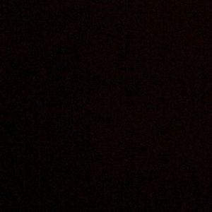 Meet your Posher, Chaz